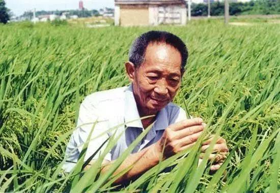一日三餐，米香彌漫，飽食者當(dāng)憶袁公！